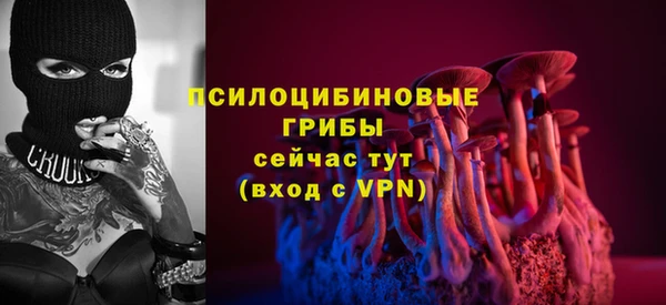 гидропоника Белоозёрский