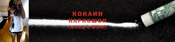гидропоника Богданович
