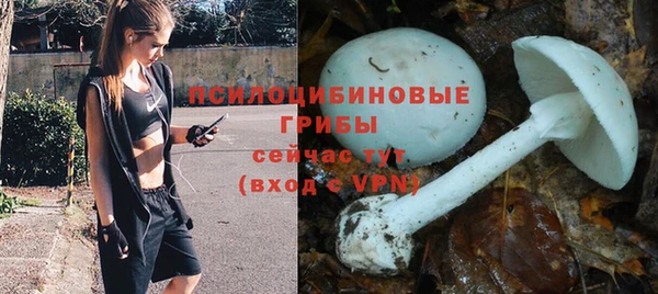 ALPHA-PVP Белокуриха