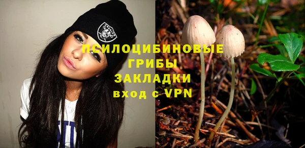 ALPHA-PVP Белокуриха