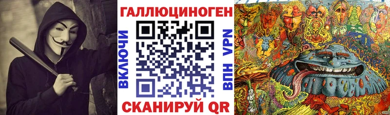 KRAKEN ССЫЛКА Балахна Галлюциногенные грибы Psilocybe